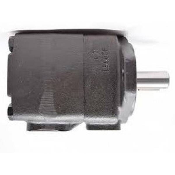 NUOVA pompa idraulica per Ford/NEW HOLLAND 1520 Trattore compatto SBA340450500