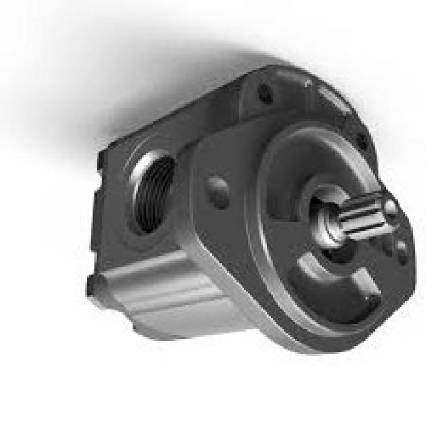 Pompa Idraulica per Sollevatore Trattori Fiat Rexroth Bosch Cod 84530154 5179714